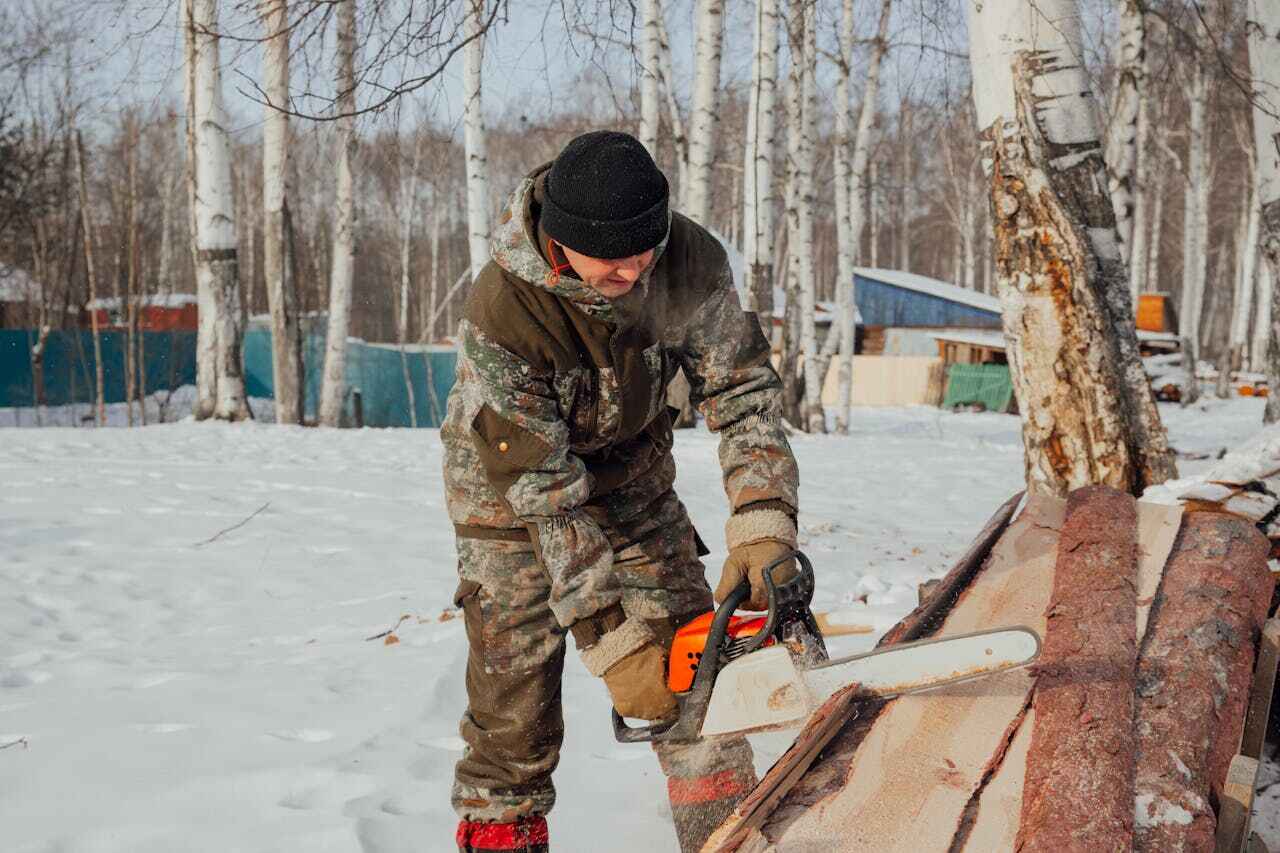 Tree Branch Trimming in Prunedale, CA